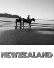New Zealand Drawing Journal : New Zealand Drawing Journal. classic stylish - Book