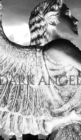 Dark Angel Writing Drawing Journal : Dark Angel Writing Drawing Journal - Book