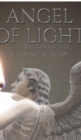 celebration of Life Angel of light in loving memory remeberance Journal : celebration of Life Journal - Book