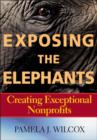 Exposing the Elephants : Creating Exceptional Nonprofits - eBook
