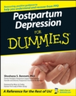 Postpartum Depression For Dummies - eBook