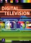 Digital Television : Technology and Standards - eBook