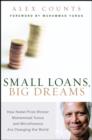 Small Loans, Big Dreams : How Nobel Prize Winner Muhammed Yunus and Microfinance are Changing the World - Book