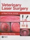 Veterinary Laser Surgery : A Practical Guide - eBook