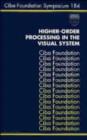 Higher-Order Processing in the Visual System - eBook