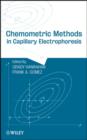 Chemometric Methods in Capillary Electrophoresis - eBook