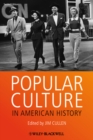 Popular Culture in American History - Book