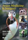 Essentials of Avian Medicine and Surgery - eBook