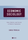Economic Sociology : State, Market, and Society in Modern Capitalism - eBook