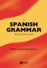 A Spanish Grammar Workbook - eBook