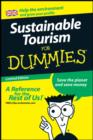 Sustainable Tourism For Dummies : North East Version - Book