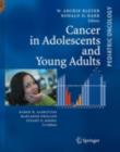 Cancer Care for Adolescents and Young Adults - eBook