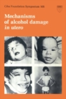 Mechanisms of Alcohol Damage in Utero - eBook