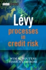 Levy Processes in Credit Risk - eBook