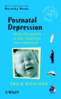 Postnatal Depression : Facing the Paradox of Loss, Happiness and Motherhood - Paula Nicolson