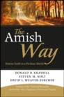 The Amish Way : Patient Faith in a Perilous World - eBook