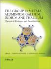 The Group 13 Metals Aluminium, Gallium, Indium and Thallium : Chemical Patterns and Peculiarities - eBook