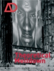 Theoretical Meltdown - Book