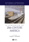 A Companion to 20th-Century America - eBook