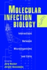 Molecular Infection Biology : Interactions Between Microorganisms and Cells - Book