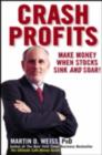 Crash Profits : Make Money When Stocks Sink AND Soar - eBook