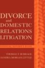 Divorce and Domestic Relations Litigation : Financial Adviser's Guide - eBook