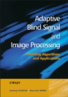 Adaptive Blind Signal and Image Processing : Learning Algorithms and Applications - Book