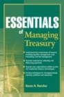 Essentials of Managing Treasury - eBook