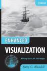 Enhanced Visualization : Making Space for 3-D Images - Book