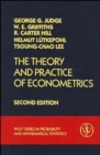 The Theory and Practice of Econometrics - Book