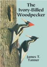 The Ivory-Billed Woodpecker - eBook