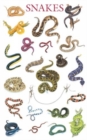 Snakes Poster - Book