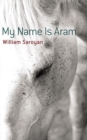 My Name is ARAM - Book