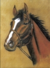 Horse Notebook - Book