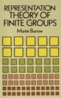 Representation Theory of Finite Groups - Book