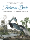 Treasury of Audubon Birds : 130 Plates from the Birds of America - Book