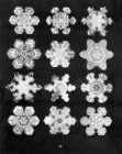 Bentley's Snowflakes - Book