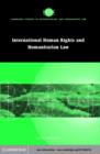 International Human Rights and Humanitarian Law - eBook