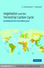 Vegetation and the Terrestrial Carbon Cycle : The First 400 Million Years - eBook