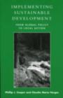 Sustainable Development : The Challenge of Transition - eBook