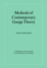 Methods of Contemporary Gauge Theory - eBook