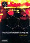 Methods of Statistical Physics - eBook