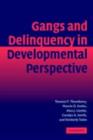 Gangs and Delinquency in Developmental Perspective - eBook