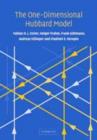 One-Dimensional Hubbard Model - eBook
