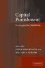 Capital Punishment : Strategies for Abolition - eBook