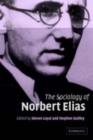 Sociology of Norbert Elias - eBook