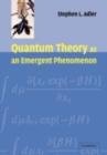 Quantum Theory as an Emergent Phenomenon : The Statistical Mechanics of Matrix Models as the Precursor of Quantum Field Theory - eBook