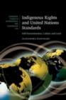Indigenous Rights and United Nations Standards : Self-Determination, Culture and Land - eBook