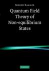 Quantum Field Theory of Non-equilibrium States - eBook