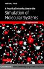 Practical Introduction to the Simulation of Molecular Systems - eBook